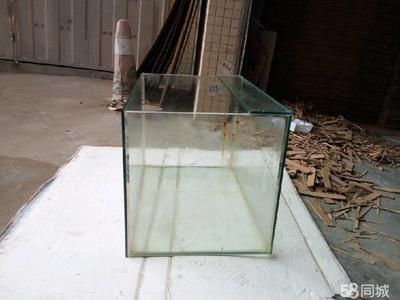 1.5米玻璃鱼缸多重：1.5米玻璃鱼缸的重量取决于鱼缸的尺寸和玻璃的厚度 鱼缸 第2张