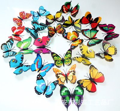 彩蝶和蝴蝶区别：彩蝶和蝴蝶之间的具体区别 彩鲽鱼缸（彩蝶鱼缸） 第3张