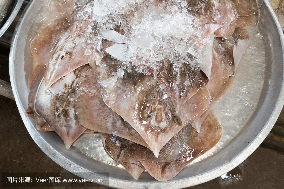 魟鱼能加盐吗怎么做才好吃：淡水魟鱼能加盐吗怎么做才好吃[需手动填充]鱼能加盐吗 魟鱼百科 第3张