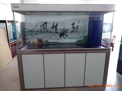彩蝶鱼缸有几个系列型号：彩蝶海水鱼缸有几个系列型号 彩鲽鱼缸（彩蝶鱼缸） 第1张