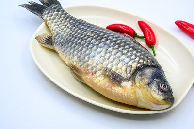 龙鱼一般配什么鱼吃：在选择龙鱼的配鱼时，需要考虑多个因素，包括鱼的攻击性、互动性 龙鱼百科 第2张