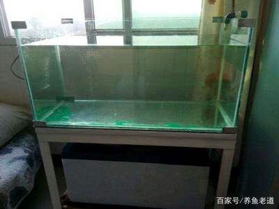 1.2米鱼缸制作粘玻璃视频：1.2米长的鱼缸粘合玻璃是一个重要的步骤以下是根据您的需求整理的信息
