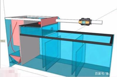 1.2米鱼缸底滤安装图：1.2米鱼缸底滤安装步骤和注意事项 鱼缸 第1张