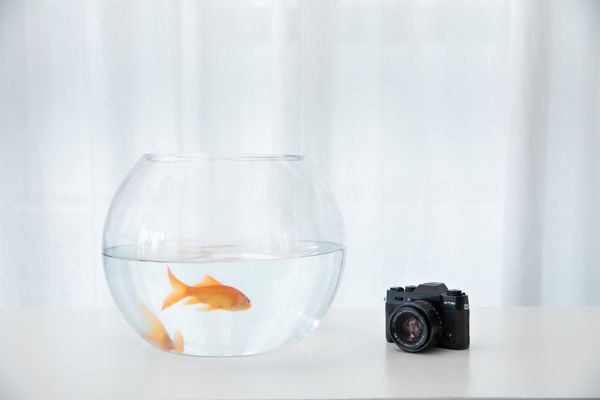 彩蝶鱼缸是什么玻璃：彩蝶鱼缸使用的玻璃材质 彩鲽鱼缸（彩蝶鱼缸） 第2张