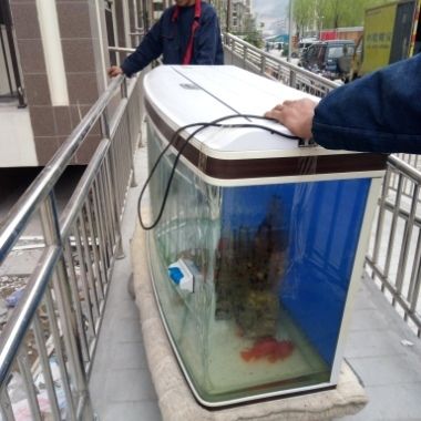 1.5米鱼缸怎么搬运上楼：1.5米的鱼缸怎么搬运上楼 鱼缸 第2张