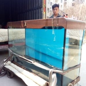 1.5米鱼缸怎么搬运上楼：1.5米的鱼缸怎么搬运上楼 鱼缸 第1张