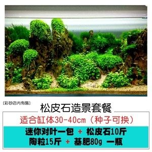 1.2米鱼缸造景图片大全青龙石：1.2米鱼缸造景中使用青龙石的信息 鱼缸百科 第2张