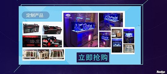 博特水族工厂怎么样知乎：博特水族工厂怎么样 博特水族 第2张