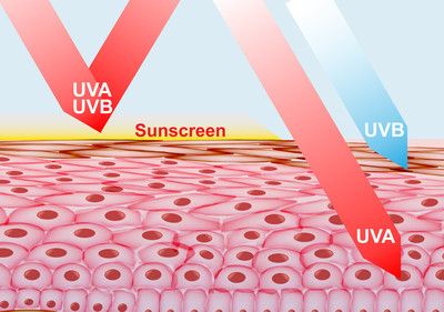 马印uva：马印uva咖啡豆 马印水族 第3张