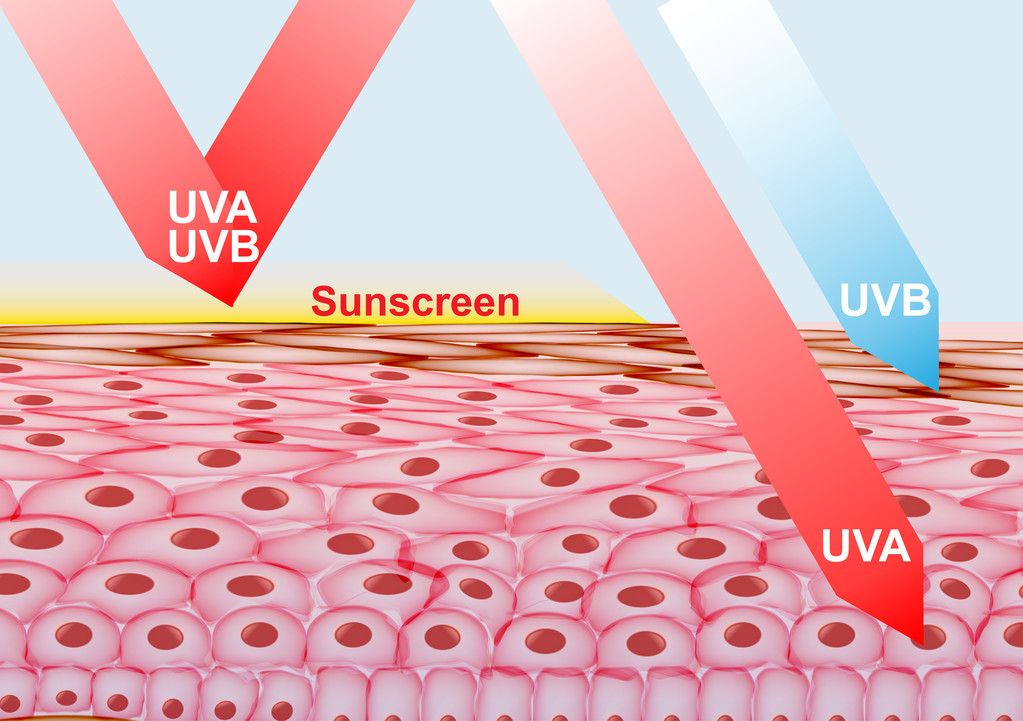 马印uva：马印uva咖啡豆 马印水族 第4张