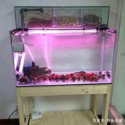 10毫米的玻璃能做多大的鱼缸视频：10毫米厚的玻璃可以用来制作一定尺寸的鱼缸以下尺寸范围 鱼缸定做 第3张