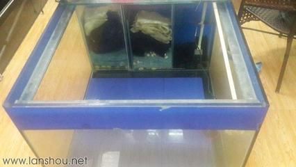 1.2的鱼缸用多厚的玻璃？：1.2米的鱼缸用多厚的玻璃 鱼缸 第2张