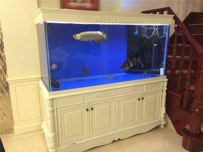1.2的鱼缸用多厚的玻璃？：1.2米的鱼缸用多厚的玻璃 鱼缸 第3张