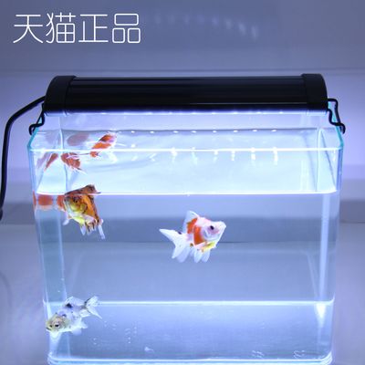 创宁水族代理：创宁水族用品有限公司91371581ma945ccn1m 创宁水族 第3张