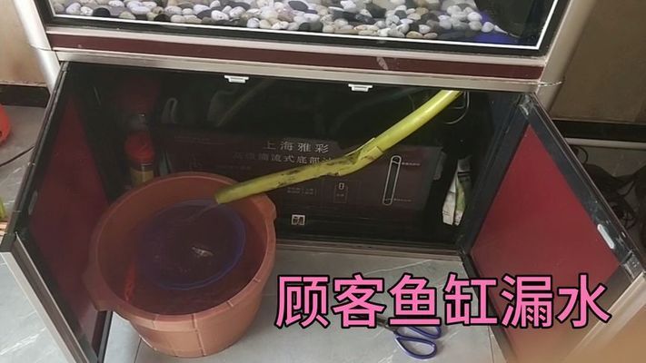 大型鱼缸漏水怎么办呢：大型鱼缸漏水怎么处理大型鱼缸漏水的方法和方法 鱼缸百科 第4张