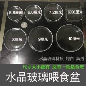 10cm鱼缸养水晶虾：10cm的鱼缸养殖需要考虑到鱼缸的选择、过滤器、底床、水草和养水 鱼缸定做 第1张