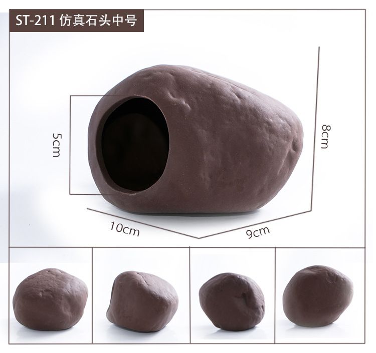 10cm鱼缸养水晶虾：10cm的鱼缸养殖需要考虑到鱼缸的选择、过滤器、底床、水草和养水 鱼缸定做 第2张