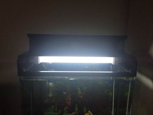 成品鱼缸灯改造：成品鱼缸灯改造之省钱篇 水族灯（鱼缸灯） 第1张