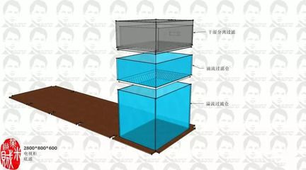 彩蝶干湿分离盒原理是什么：彩蝶鱼缸干湿分离盒原理是什么 彩鲽鱼缸（彩蝶鱼缸） 第1张