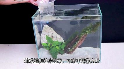 斗鱼缸制作方法：diy创意斗鱼缸制作方法 鱼缸百科 第4张