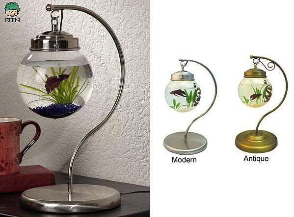 彩蝶tbf鱼缸怎么装灯：在彩蝶tbf鱼缸中安装灯可以为您的水族馆提供光照