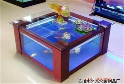 便宜的异型鱼缸多少钱：如何选择一个便宜的异型鱼缸 鱼缸 第1张