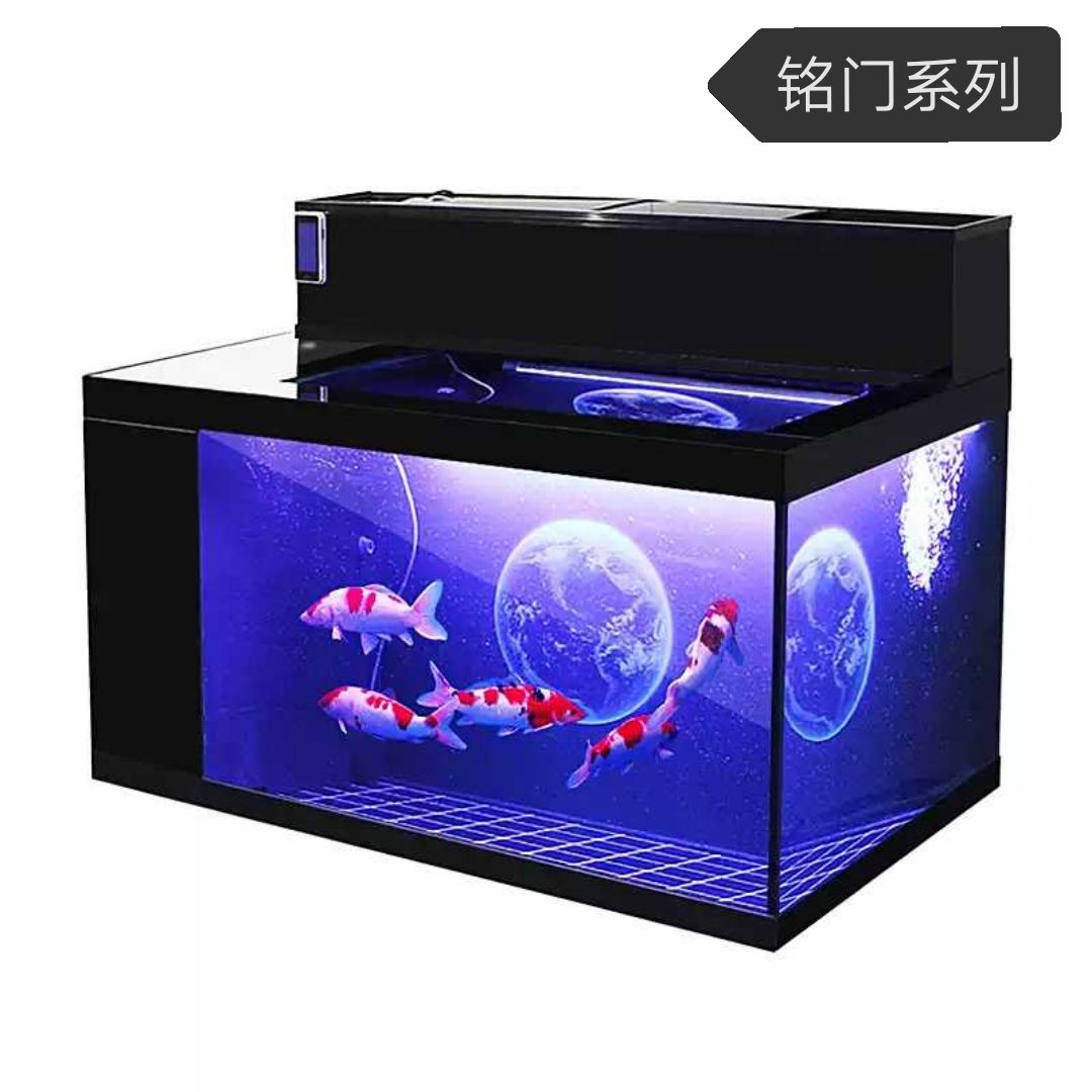 超白鱼缸用什么灯好看又实惠：如何选择超白鱼缸的灯光 水族灯（鱼缸灯） 第1张