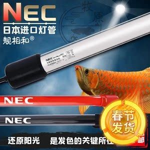 nec鱼缸灯效果怎么样：nec鱼缸灯怎么样？ 水族灯（鱼缸灯） 第3张