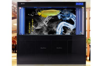 大型鱼缸多少钱一个平方：大型鱼缸价格因材质、尺寸、品牌等因素有所不同 鱼缸百科 第4张