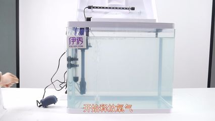 多大的鱼缸需要加氧气：养鱼技巧：鱼缸加氧泵的选择指南 鱼缸 第4张