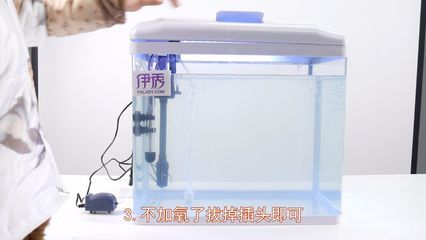 多大的鱼缸需要加氧气：养鱼技巧：鱼缸加氧泵的选择指南 鱼缸 第3张