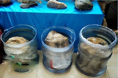 纯净水桶改造养鱼缸：如何利用废弃水桶制作循环水流鱼缸 鱼缸 第1张