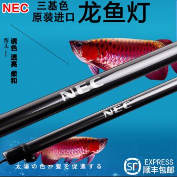 NEC鱼缸灯：nec鱼缸灯的种类和特点