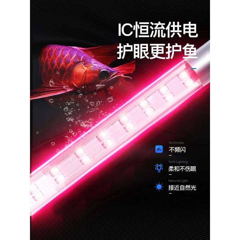 led鱼缸观赏灯：led鱼缸观赏灯怎么选择 水族灯（鱼缸灯） 第3张