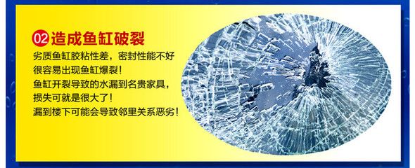 玻璃鱼缸为什么自己会裂开：玻璃鱼缸为什么会裂开？ 鱼缸百科 第4张