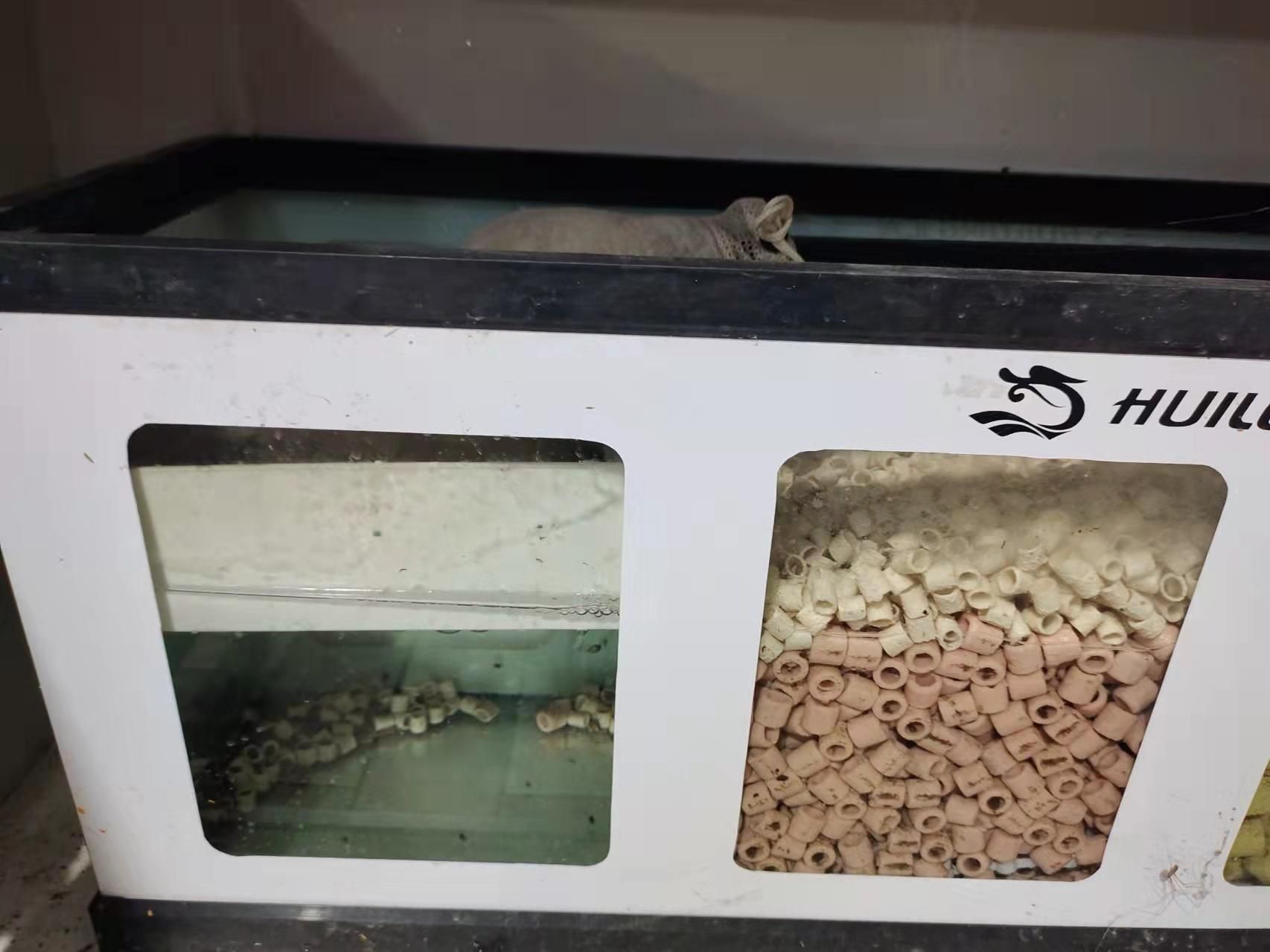 彩蝶MPG鱼缸干湿分离盒：干湿分离是一种针对鱼缸循环过滤的改进方式 彩鲽鱼缸（彩蝶鱼缸） 第1张