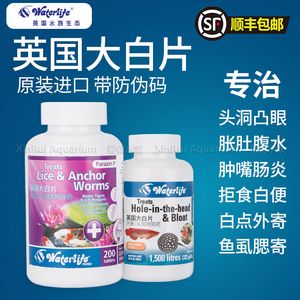 魟鱼下大白片可以喂食吗：魟鱼下大白片药物治疗时 魟鱼百科 第2张