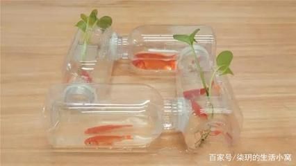 成品鱼缸改造怎么切割上面塑料条：成品鱼缸改造中如何切割上面的塑料条根据搜索结果 鱼缸