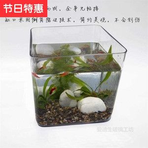 大型玻璃鱼缸粘接方法：diy大型玻璃鱼缸粘接方法