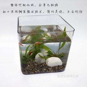 大型玻璃鱼缸粘接方法：diy大型玻璃鱼缸粘接方法