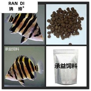 印尼虎鱼吃饲料：印尼虎鱼吃什么饲料