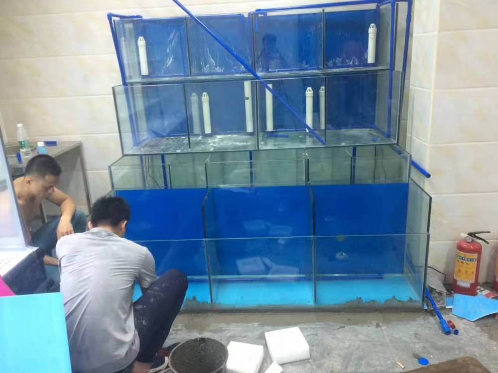 玻璃鱼缸漏水怎么处理视频：玻璃鱼缸出现漏水怎么办 鱼缸百科 第1张