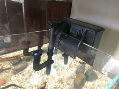 玻璃鱼缸漏水怎么处理视频：玻璃鱼缸出现漏水怎么办 鱼缸百科 第3张