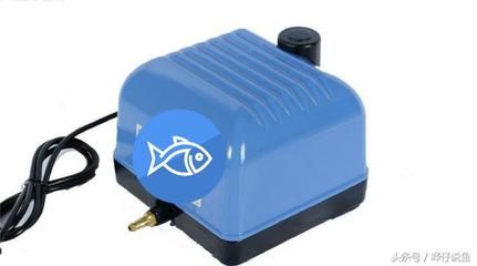 大鱼缸增氧泵怎么用：如何判断鱼缸是否缺氧 鱼缸 第1张