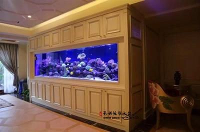 玻璃鱼缸景观设计：玻璃鱼缸景观设计是一项具有科学性和科学性的创造活动 鱼缸 第2张