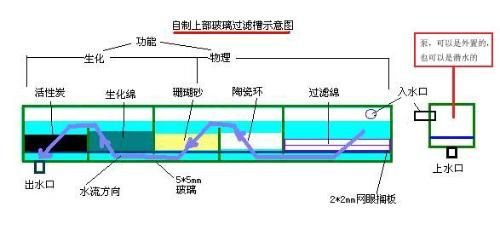 背滤鱼缸滤材摆放图：背滤鱼缸滤材摆放顺序和方法