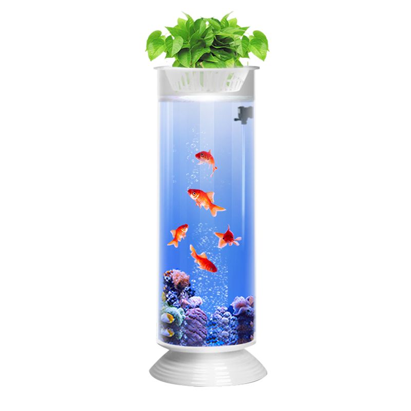 大型圆柱形玻璃鱼缸价格：大型圆柱形玻璃鱼缸价格可以根据不同的材质、制造商和定制需求有所不同 鱼缸 第3张