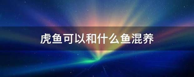 泰国虎喜欢什么样的水质环境：泰国虎鱼喜欢什么样的水质环境 泰国虎鱼 第3张