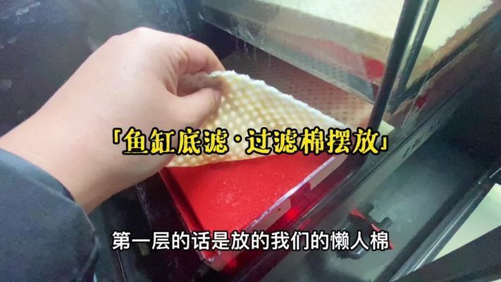 彩蝶鱼缸干湿分离摆放：彩蝶鱼缸干湿分离摆放方法