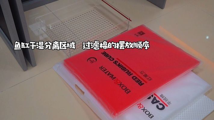 彩蝶鱼缸干湿分离摆放：彩蝶鱼缸干湿分离摆放方法